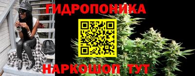 ECSTASY Партизанск