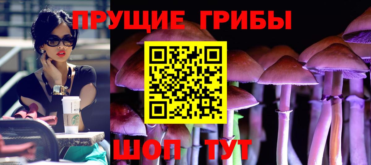 Галлюциногенные грибы GOLDEN TEACHER  Вход с VPN  Ялта 